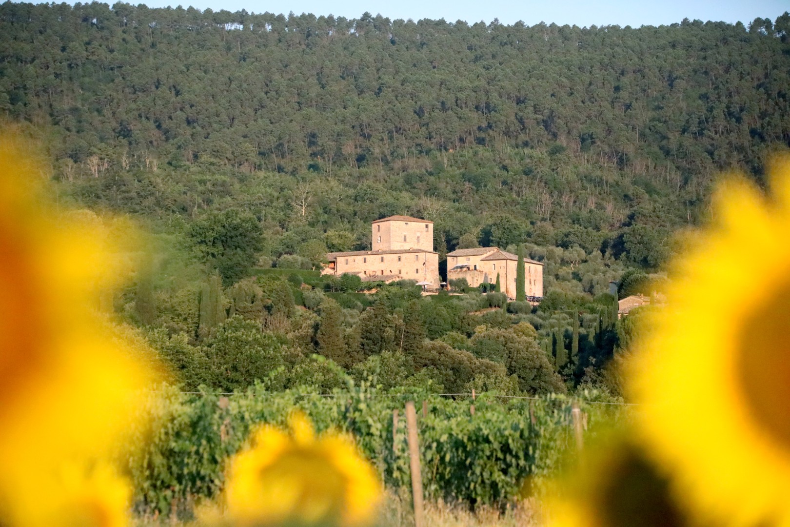 st-0726-exteriors-from-sunflower-fields-2