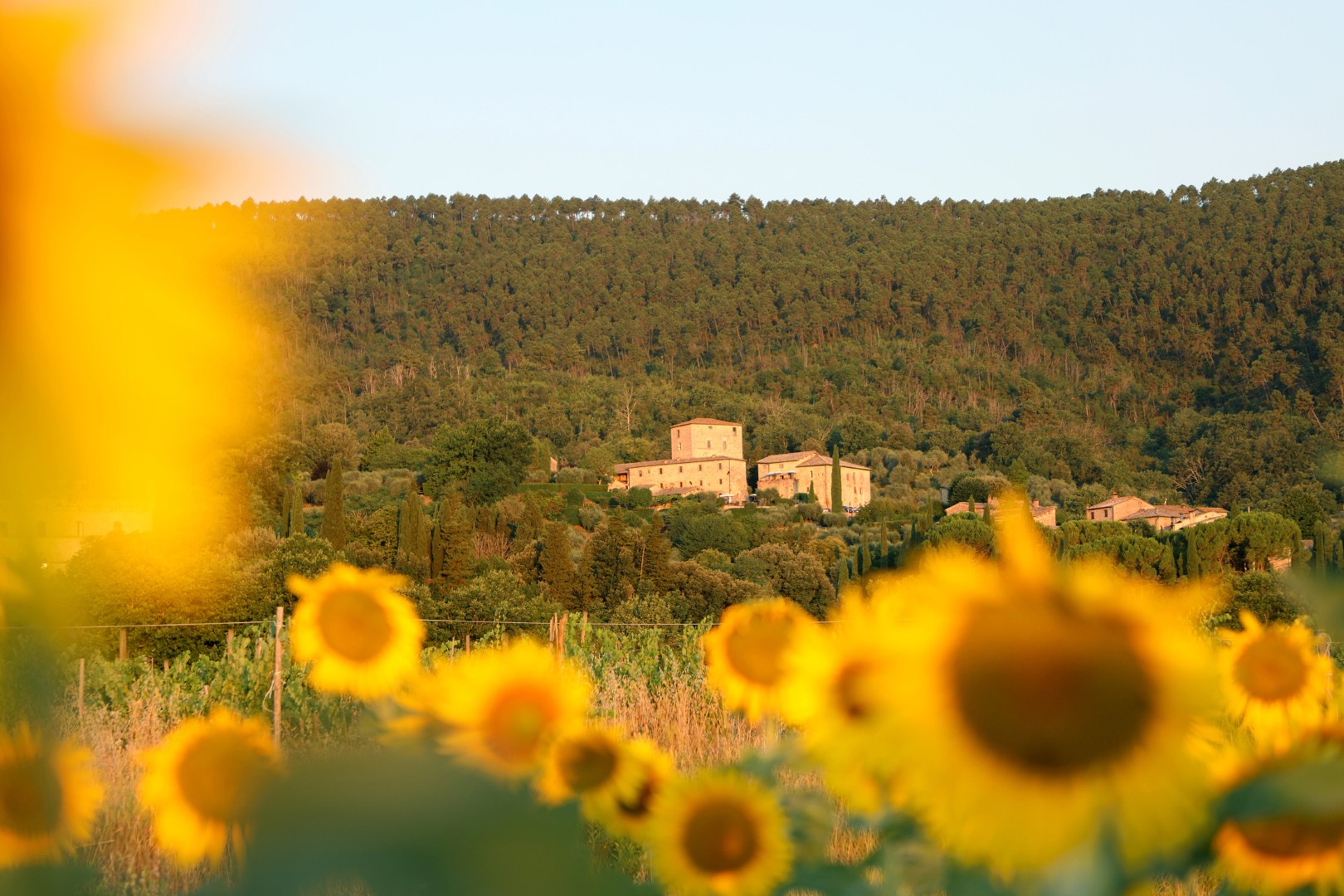 st-0726-exteriors-from-sunflower-fields-26