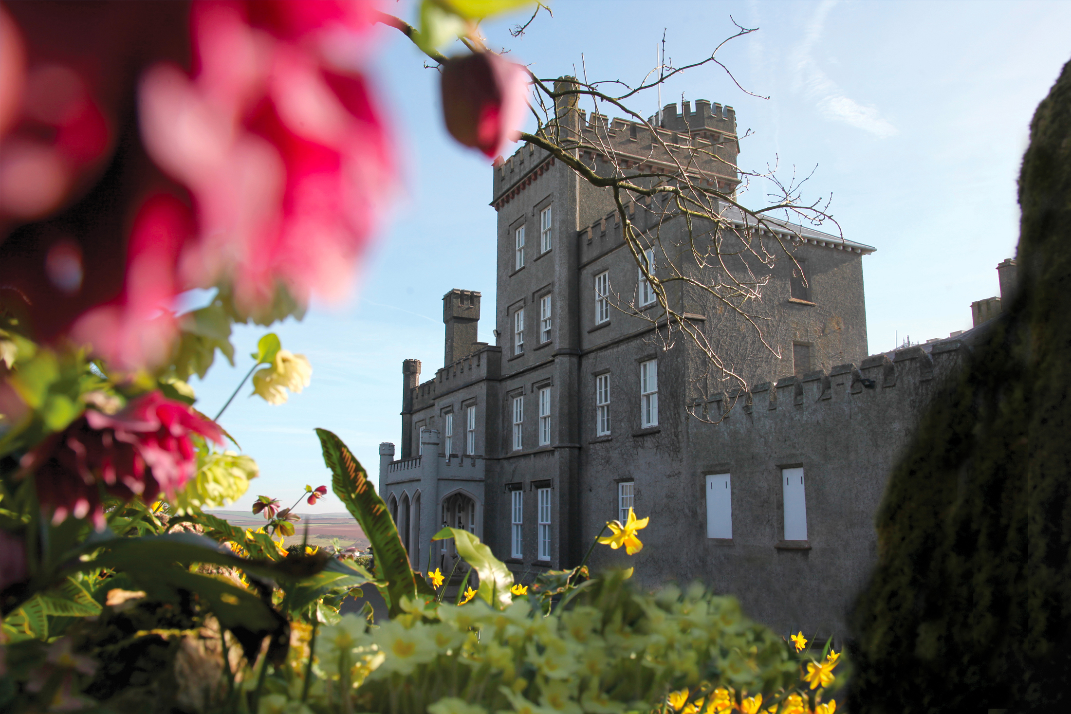 HPB-website-portfolio-image-St-Brides-Castle