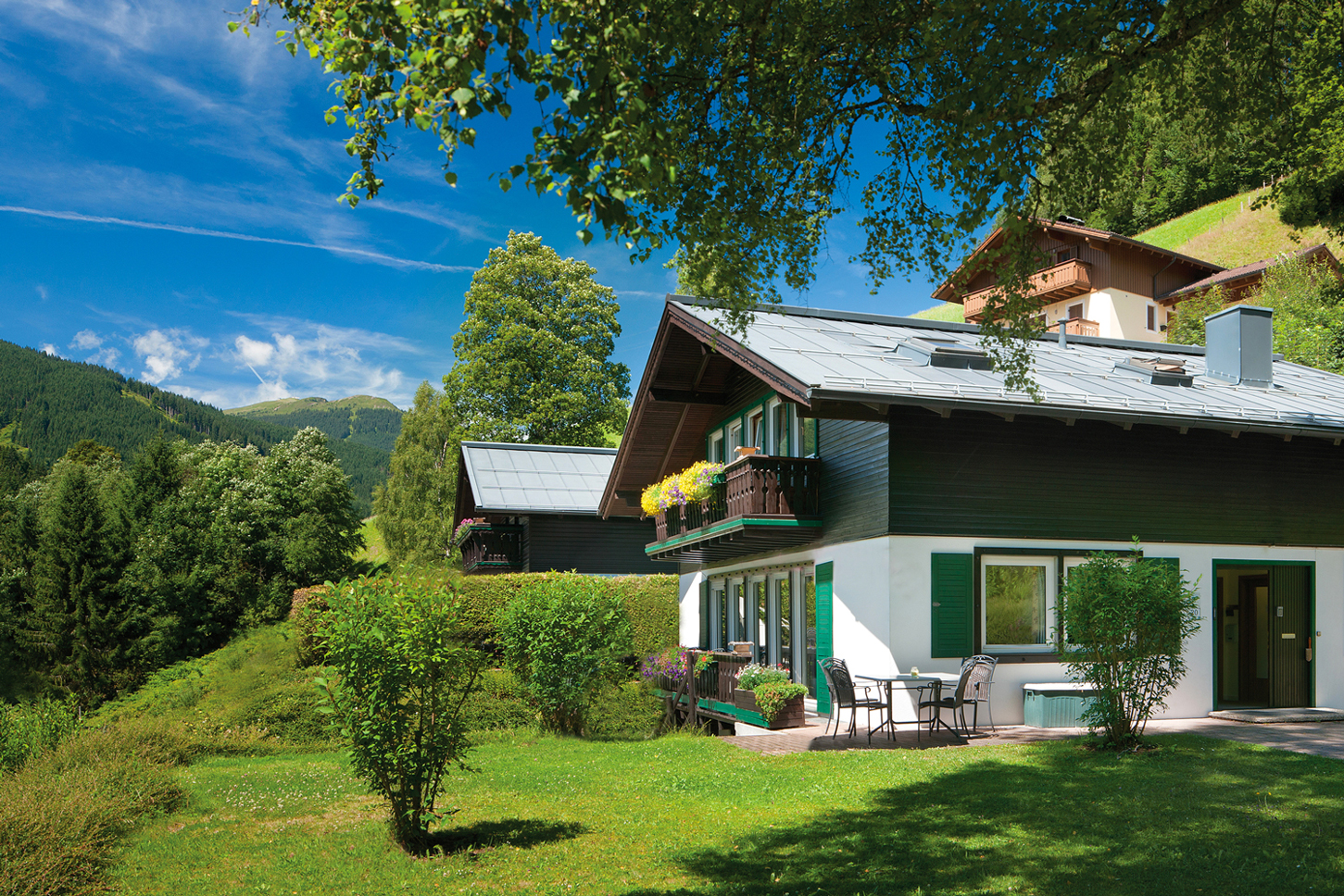 HPB-website-portfolio-image-Viehhofen